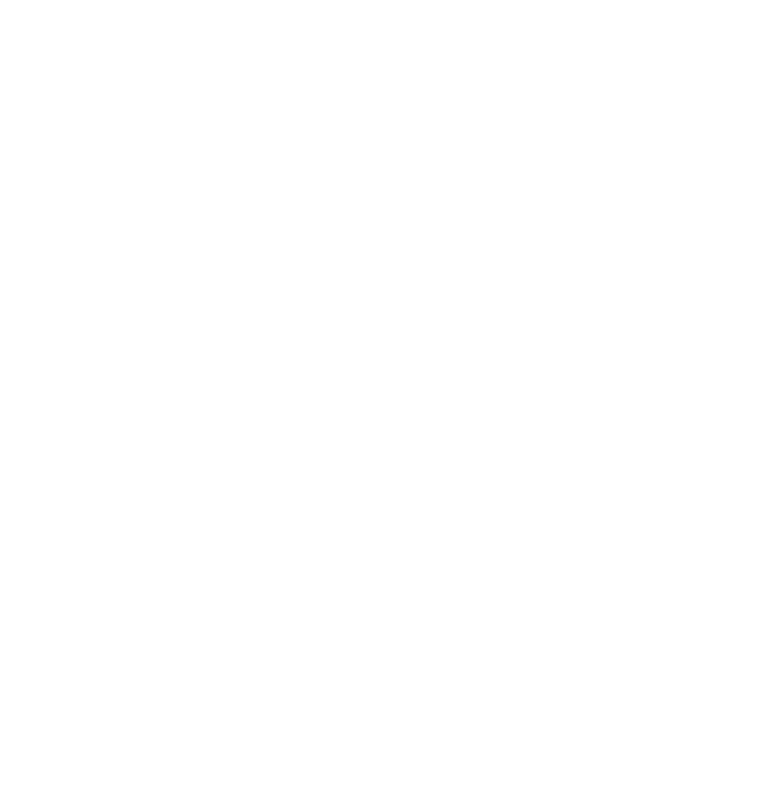 Salvsam Logo